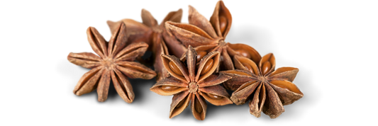 Star Anise - Magical uses and Medicinal Benefits