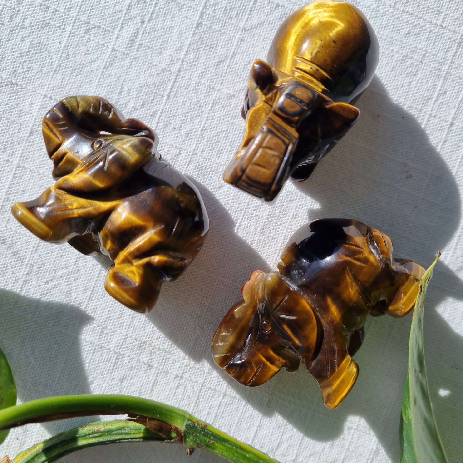 Tigers Eye Elephant - 50mm - Sparrow and Fox