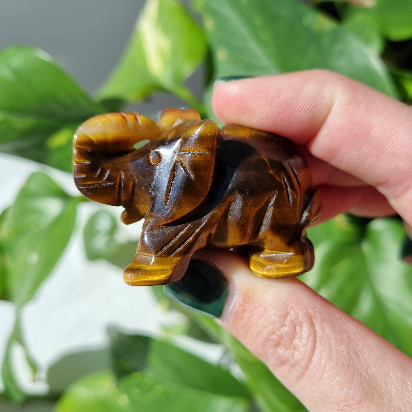 Tigers Eye Elephant - 50mm - Sparrow and Fox