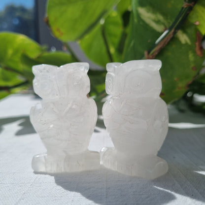 Clear Quartz Owl - 50mm - Sparrow and Fox