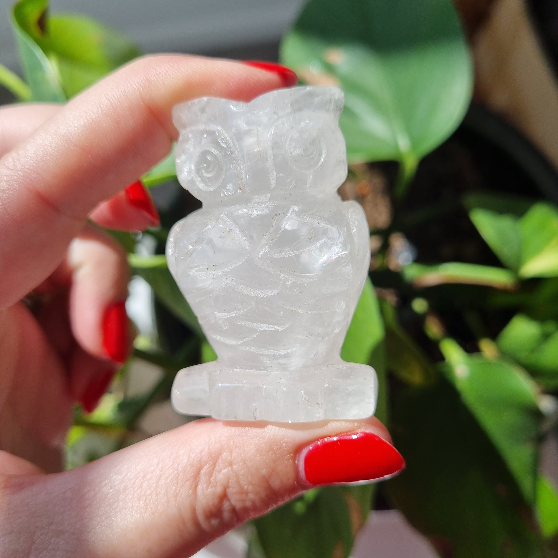 Clear Quartz Owl - 50mm - Sparrow and Fox