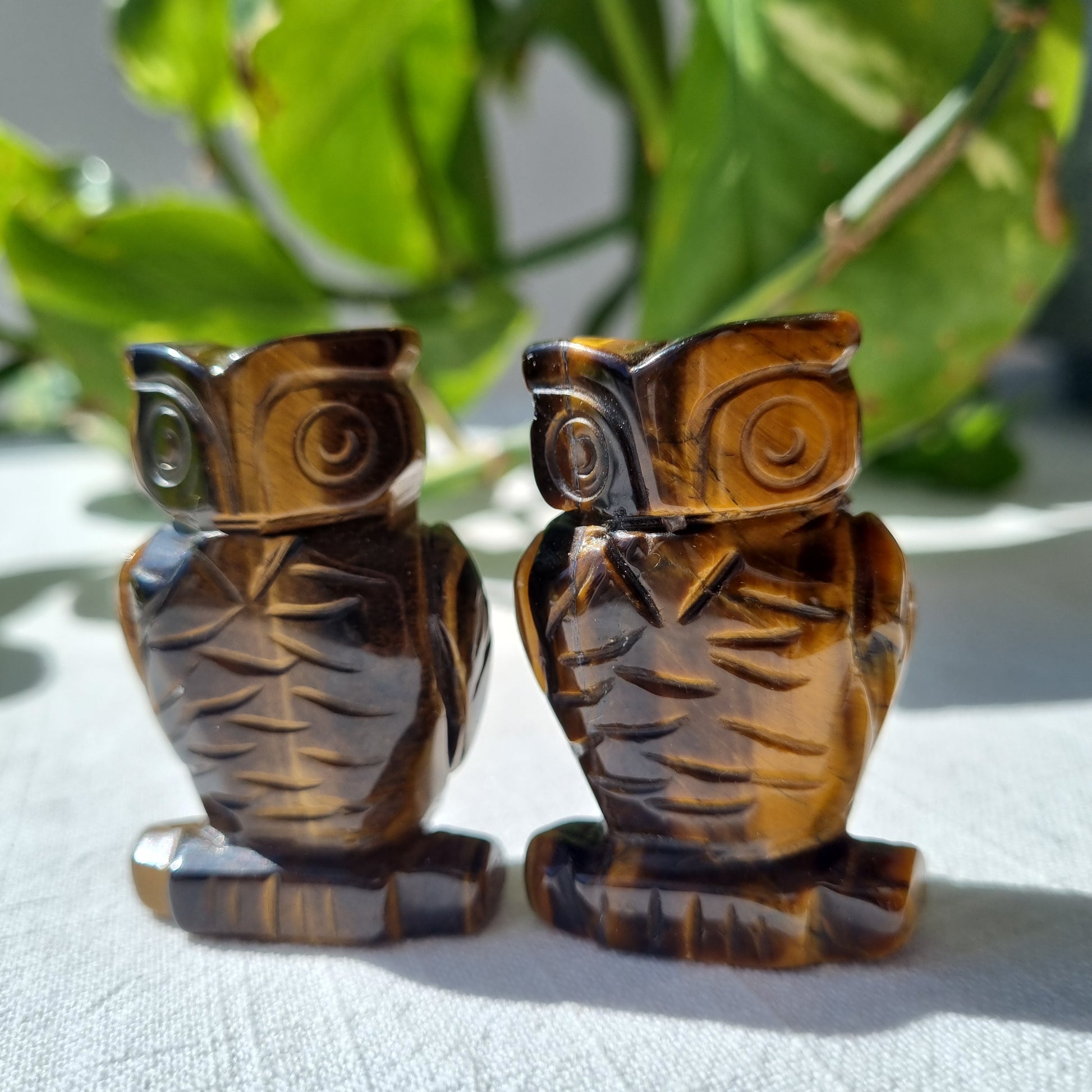 Tigers Eye Owl - 50mm - Sparrow and Fox