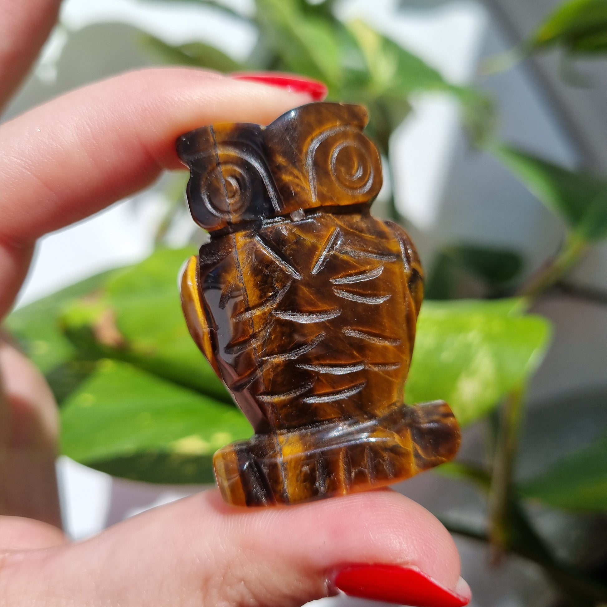 Tigers Eye Owl - 50mm - Sparrow and Fox