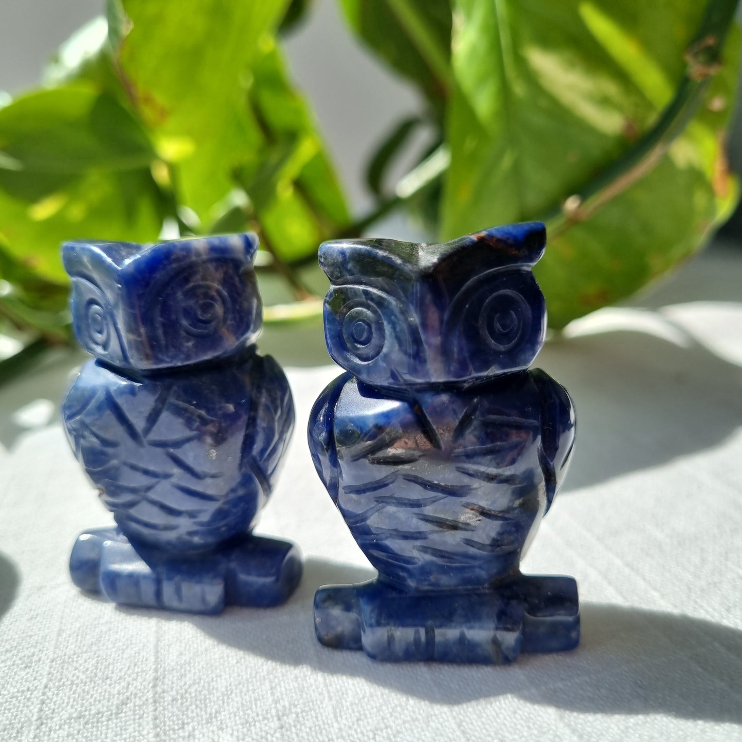 Sodalite Owl - 50mm - Sparrow and Fox