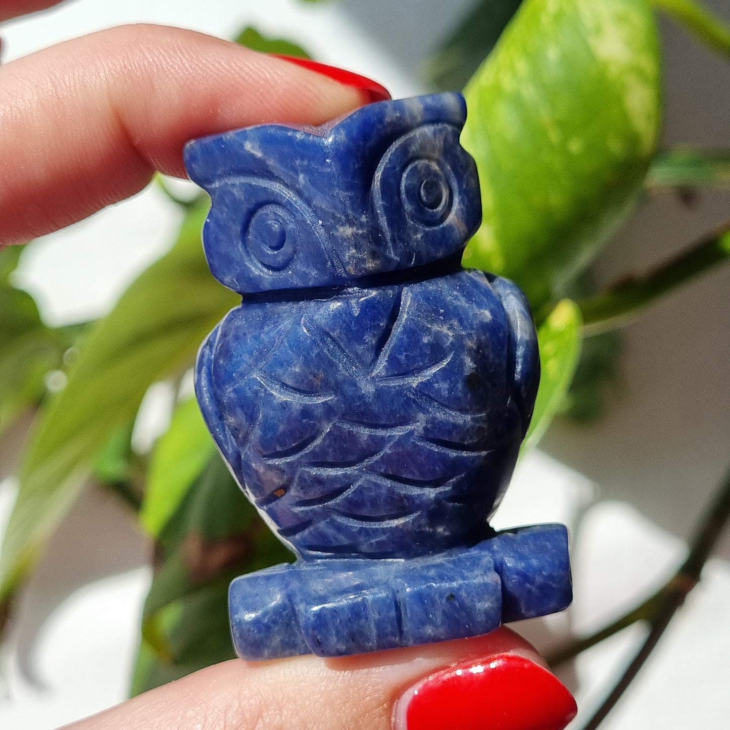 Sodalite Owl - 50mm - Sparrow and Fox