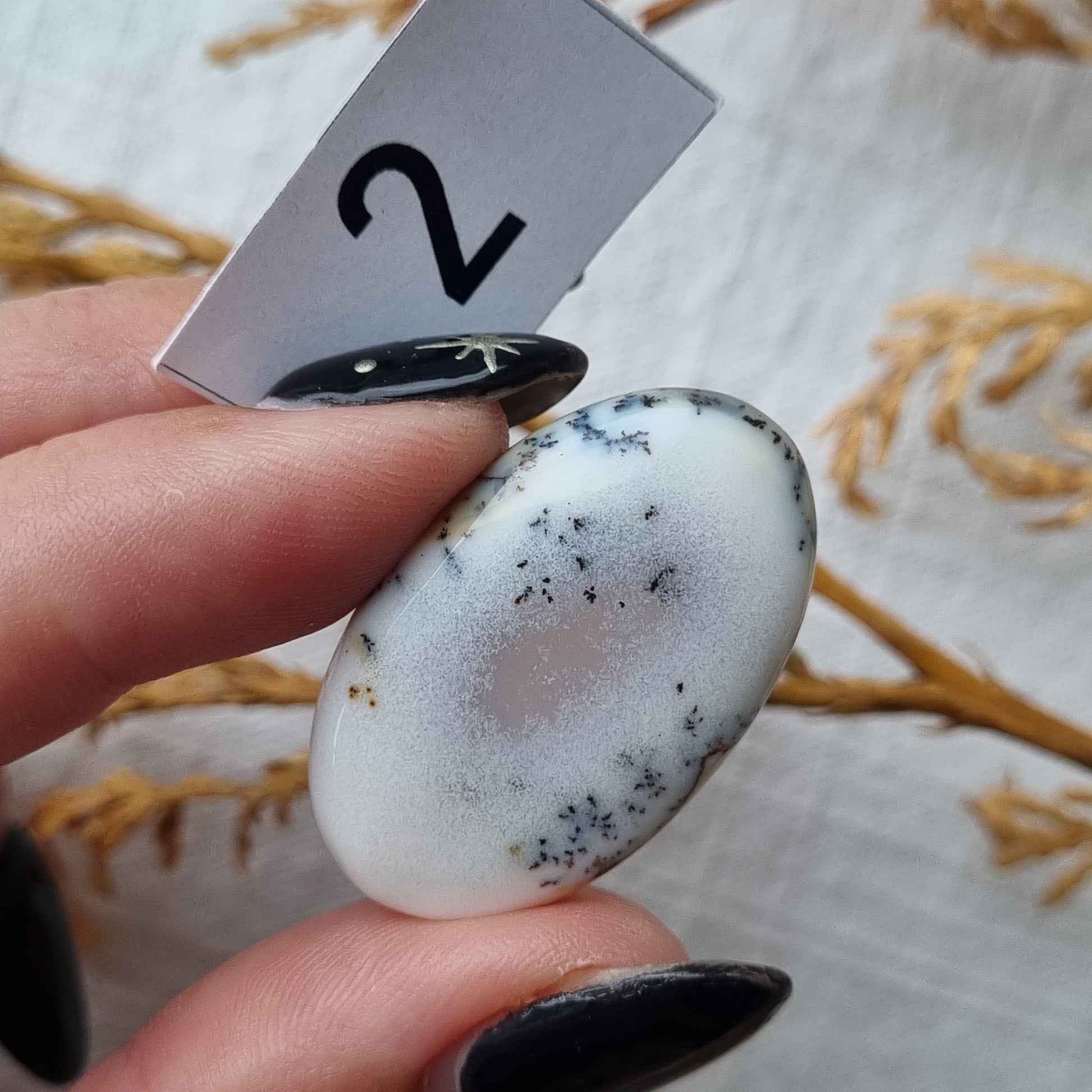 Dendritic Agate Cabochon - Sparrow and Fox