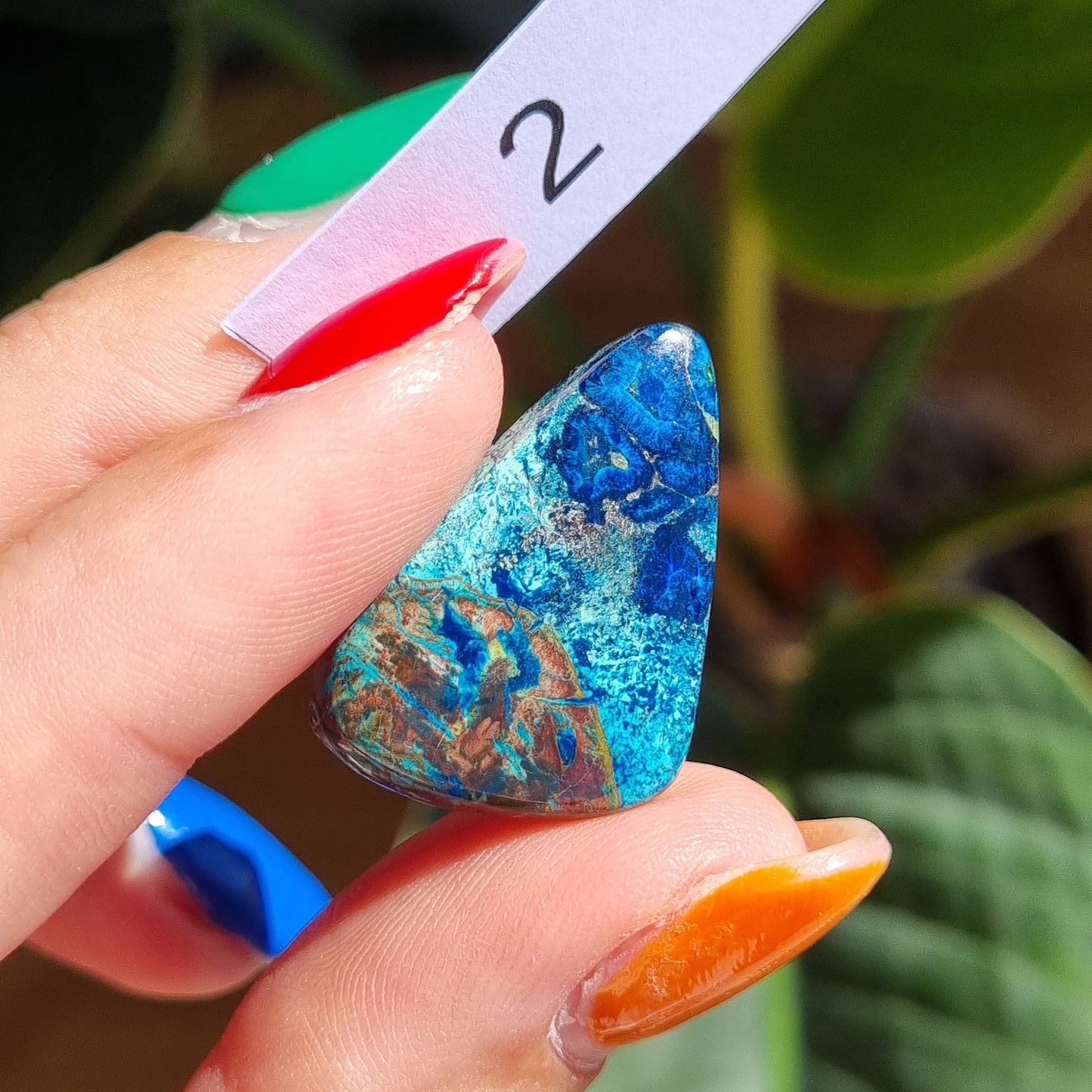 Azurite Cabochon - Sparrow and Fox