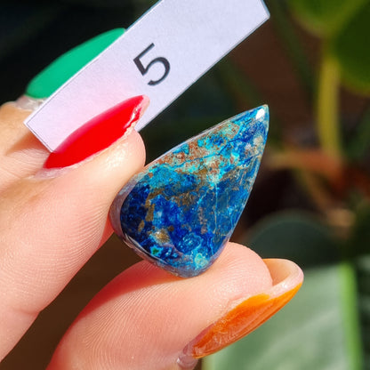 Azurite Cabochon - Sparrow and Fox