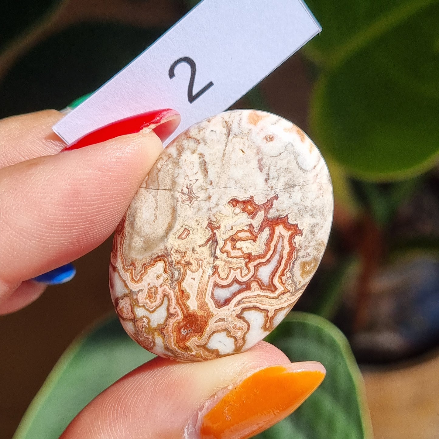 Crazy Lace Agate Cabochon - Mexico - Sparrow and Fox