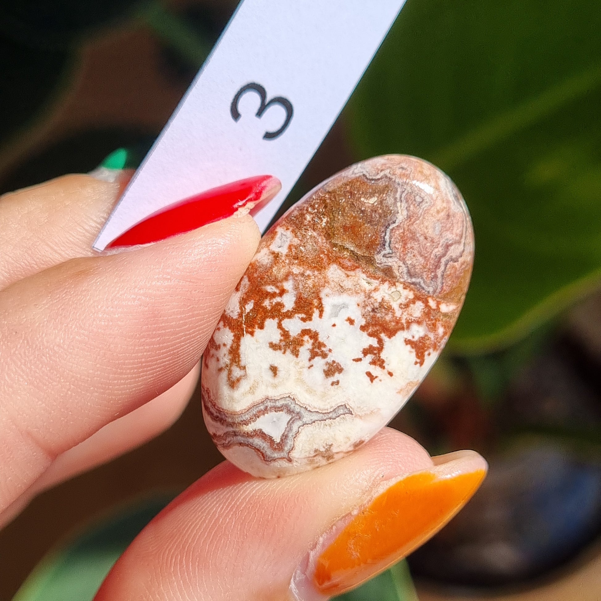 Crazy Lace Agate Cabochon - Mexico - Sparrow and Fox