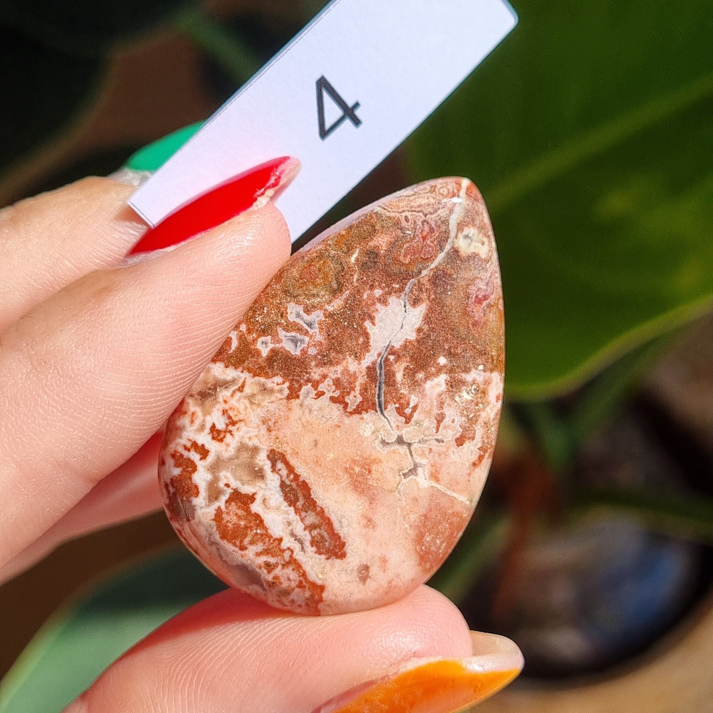 Crazy Lace Agate Cabochon - Mexico - Sparrow and Fox