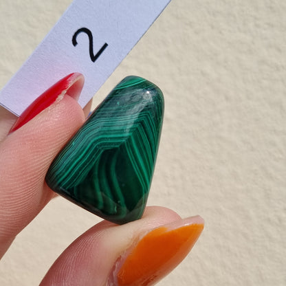 Malachite Cabochon - Sparrow and Fox