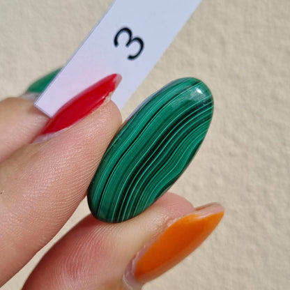 Malachite Cabochon - Sparrow and Fox