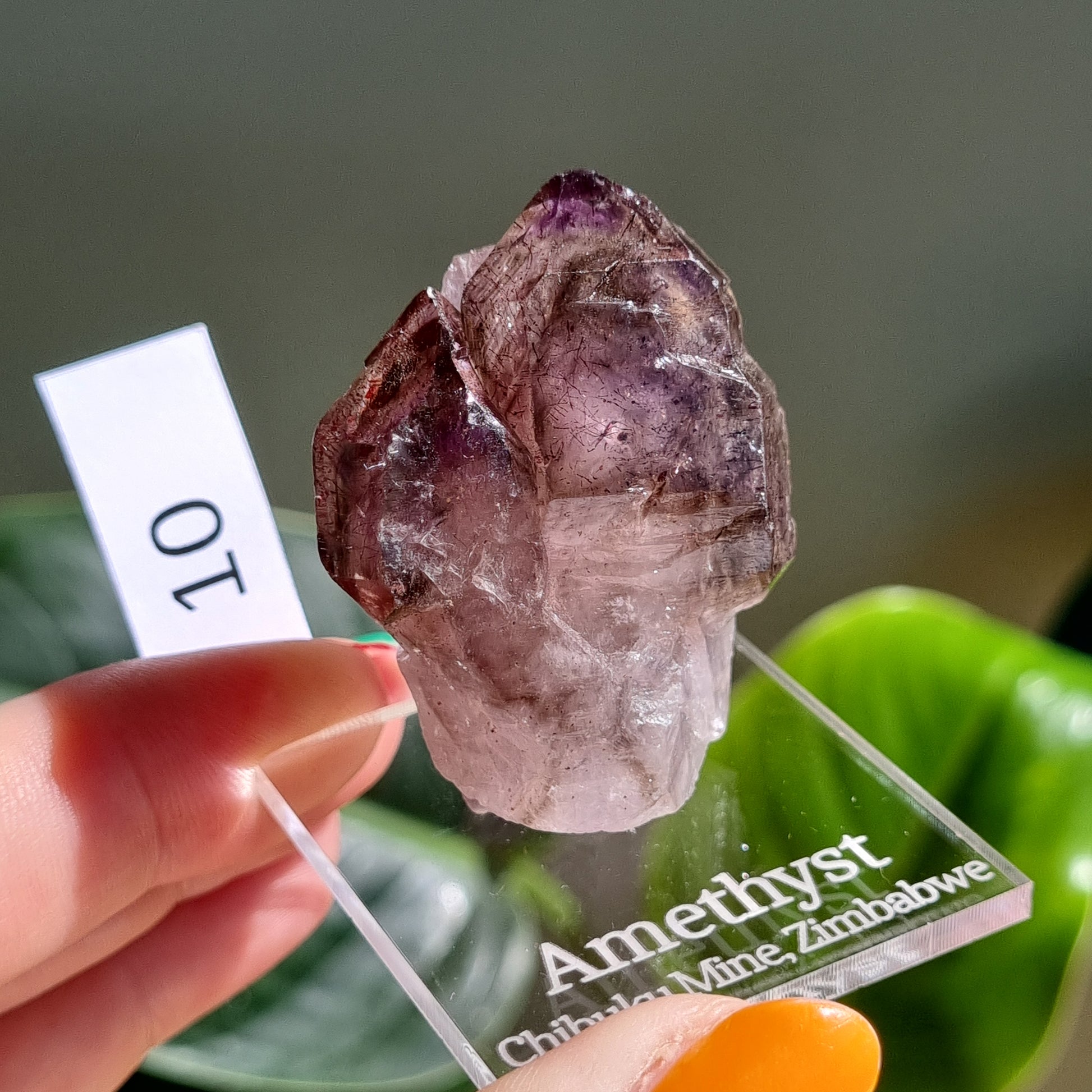 Shangaan Amethyst Specimen - Zimbabwe - RARE - Sparrow and Fox