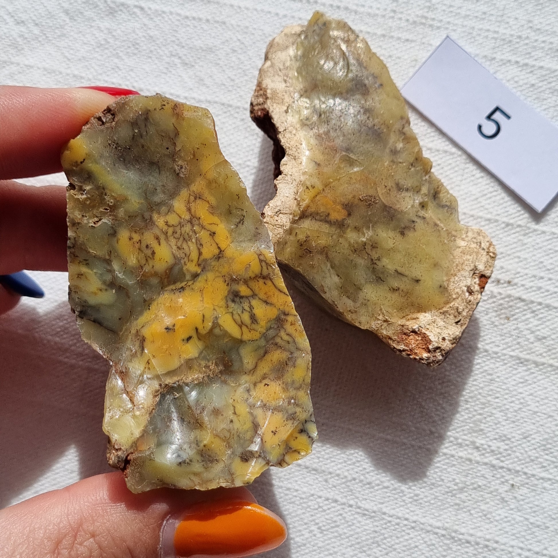 Yellow Moss Opal - Australia - Sparrow and Fox