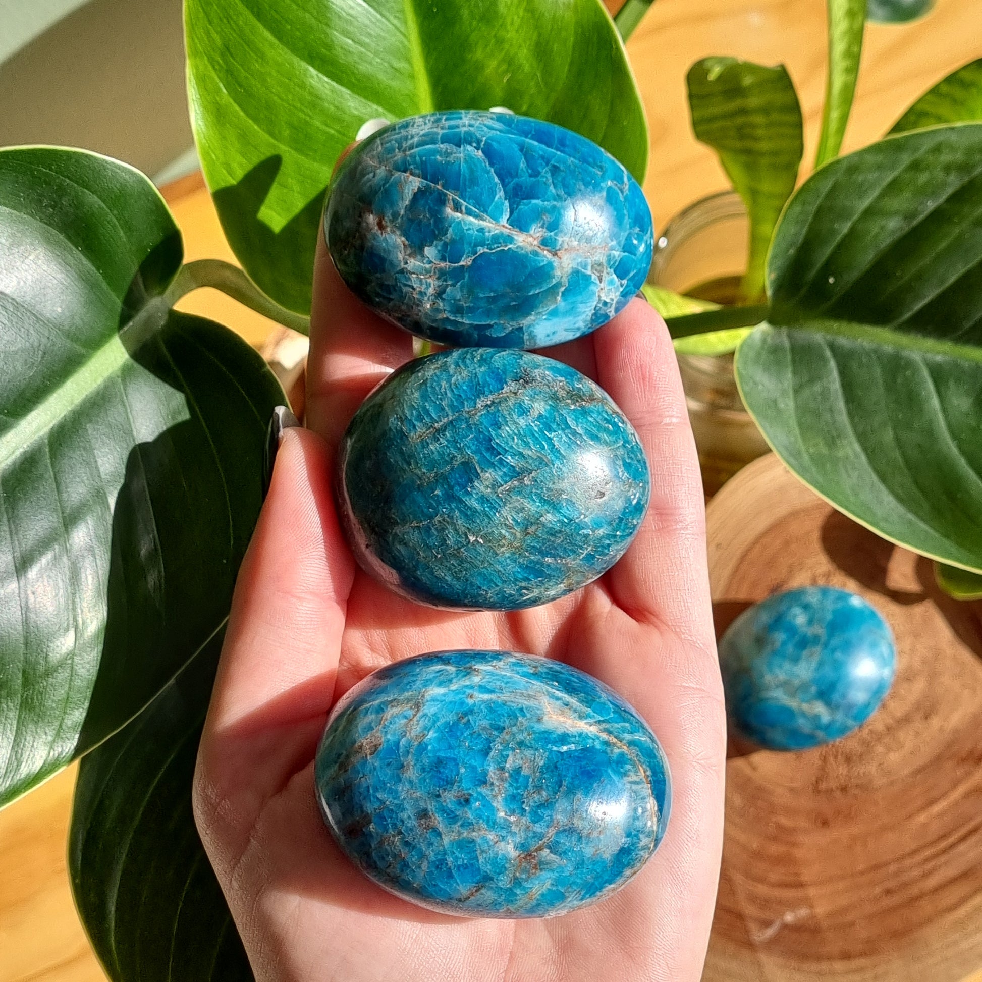 Apatite Palmstone - Sparrow and Fox