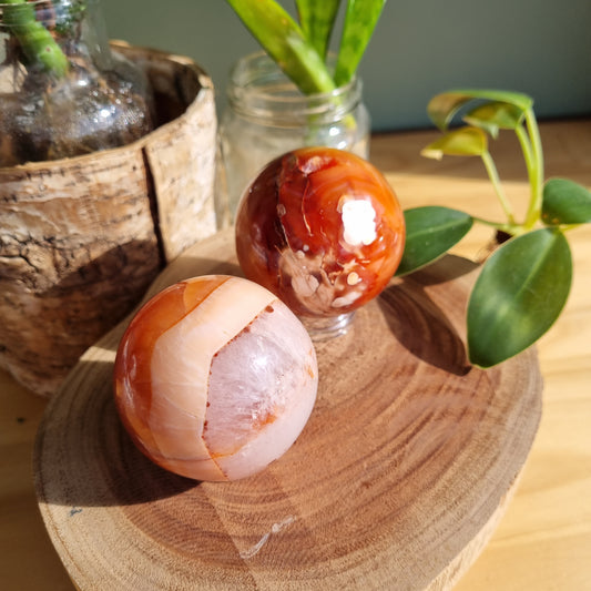 Carnelian Sphere - Madagascar - Sparrow and Fox