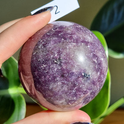 Lepidolite Sphere - Sparrow and Fox