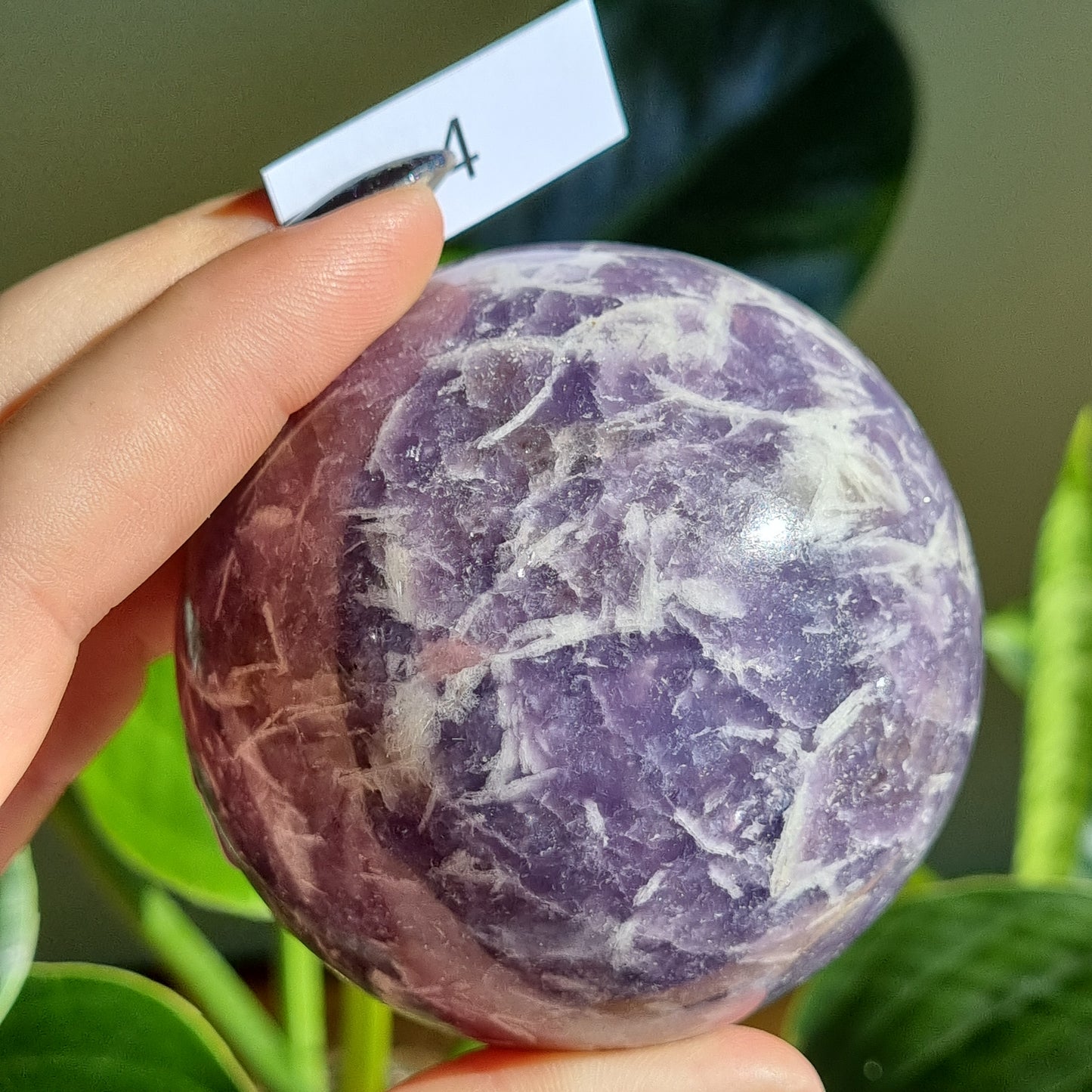 Lepidolite Sphere - Sparrow and Fox