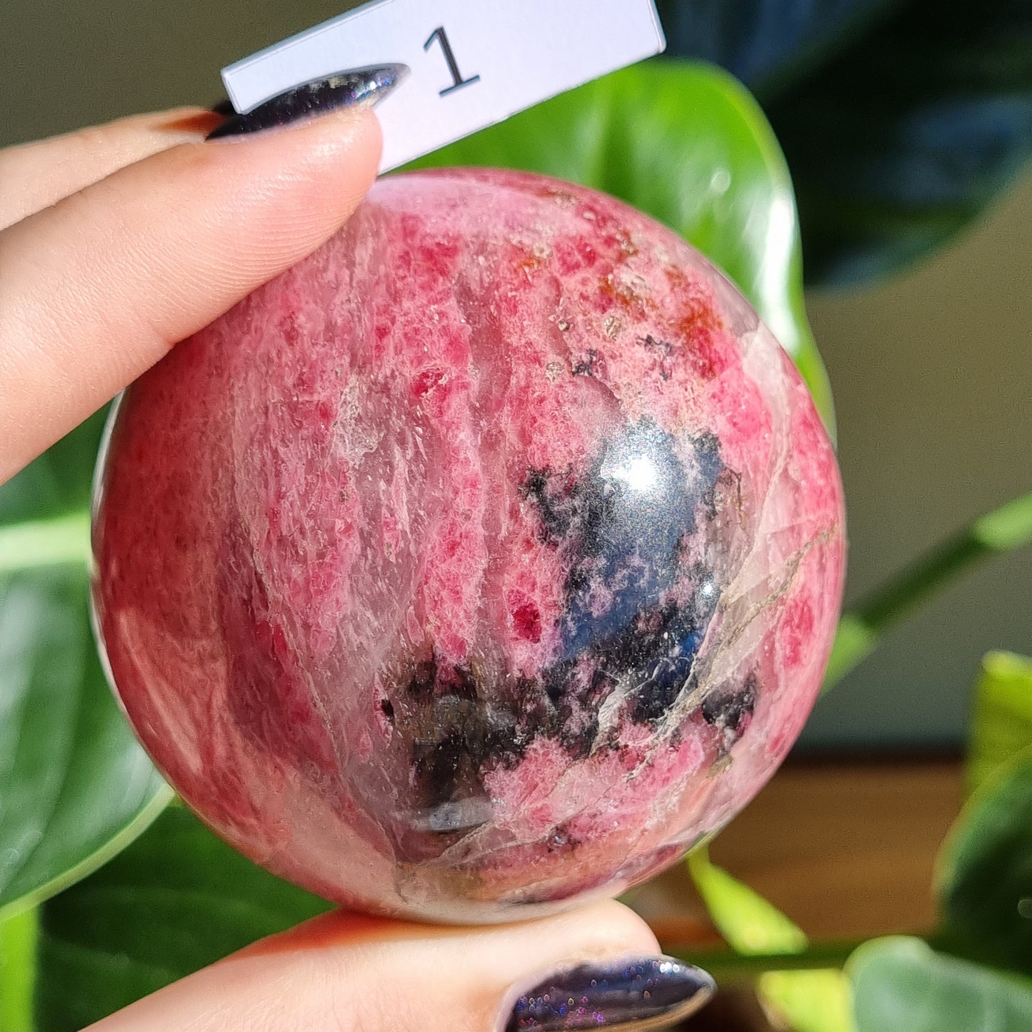 Rhodonite in Quartz Spheres - Sparrow and Fox