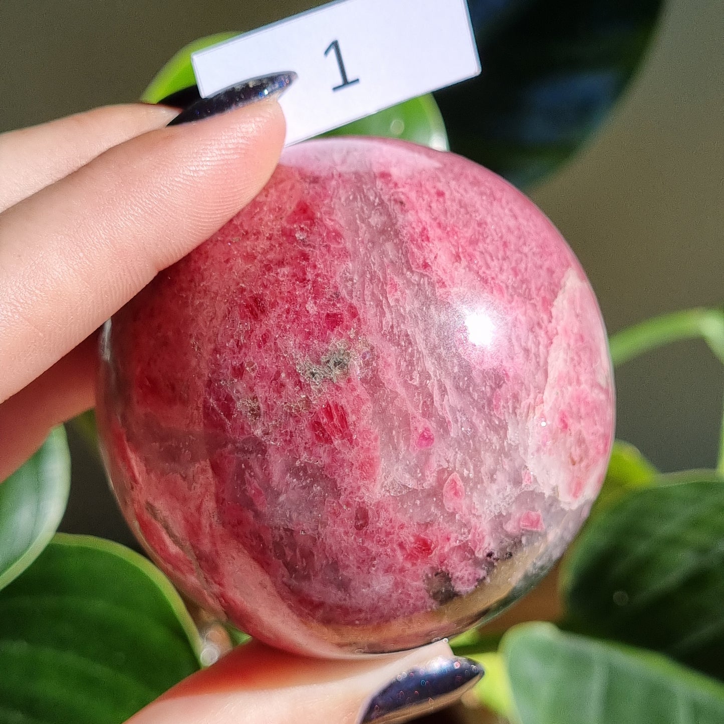 Rhodonite in Quartz Spheres - Sparrow and Fox