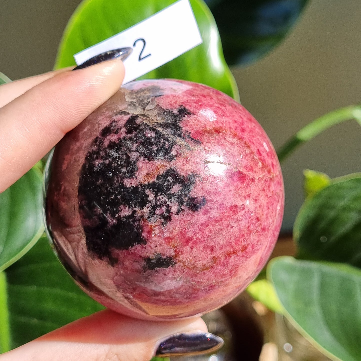 Rhodonite in Quartz Spheres - Sparrow and Fox