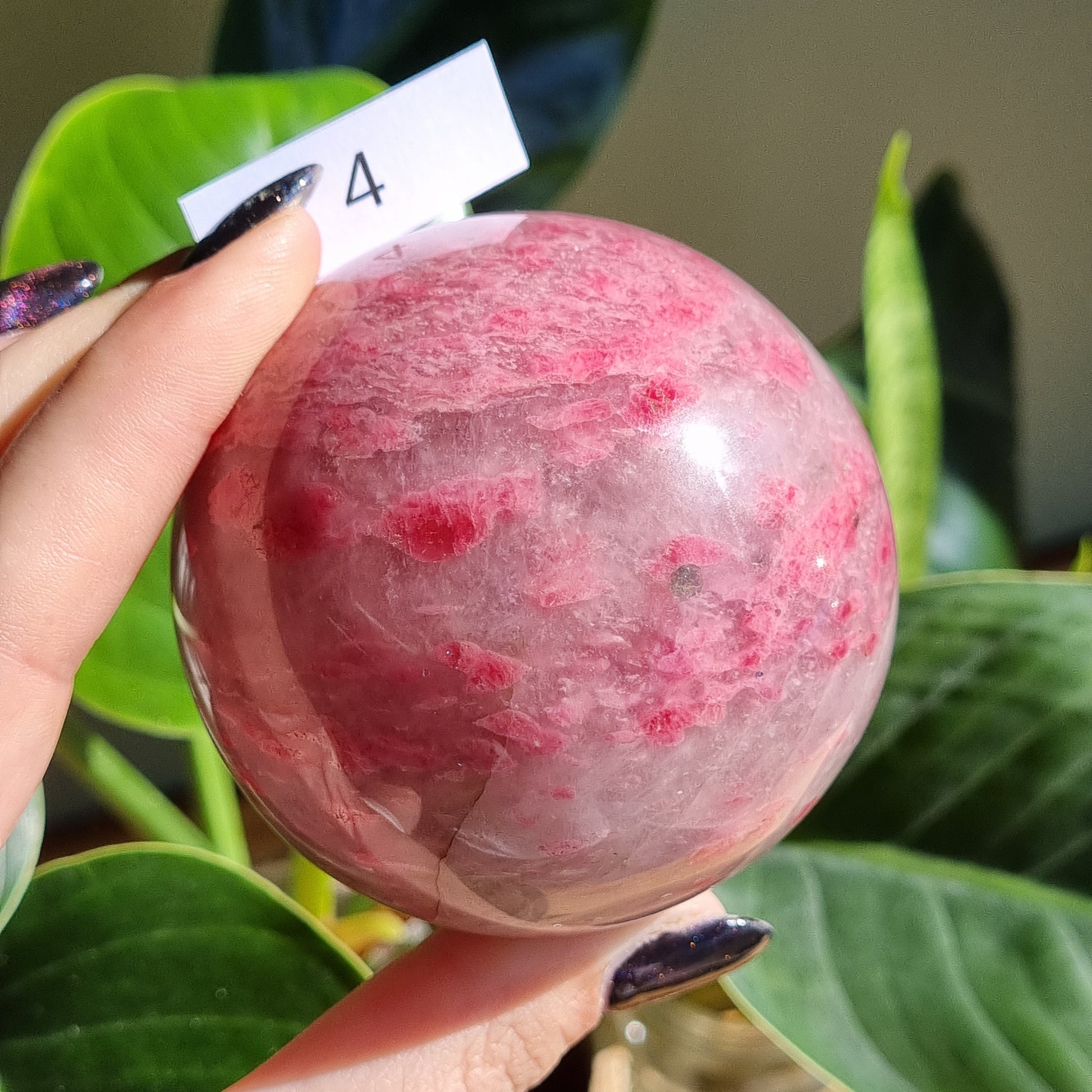 Rhodonite in Quartz Spheres - Sparrow and Fox