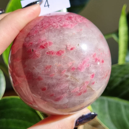 Rhodonite in Quartz Spheres - Sparrow and Fox