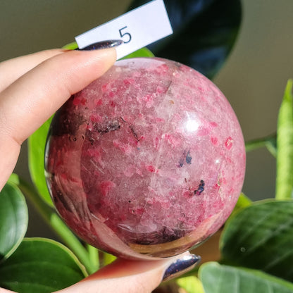 Rhodonite in Quartz Spheres - Sparrow and Fox