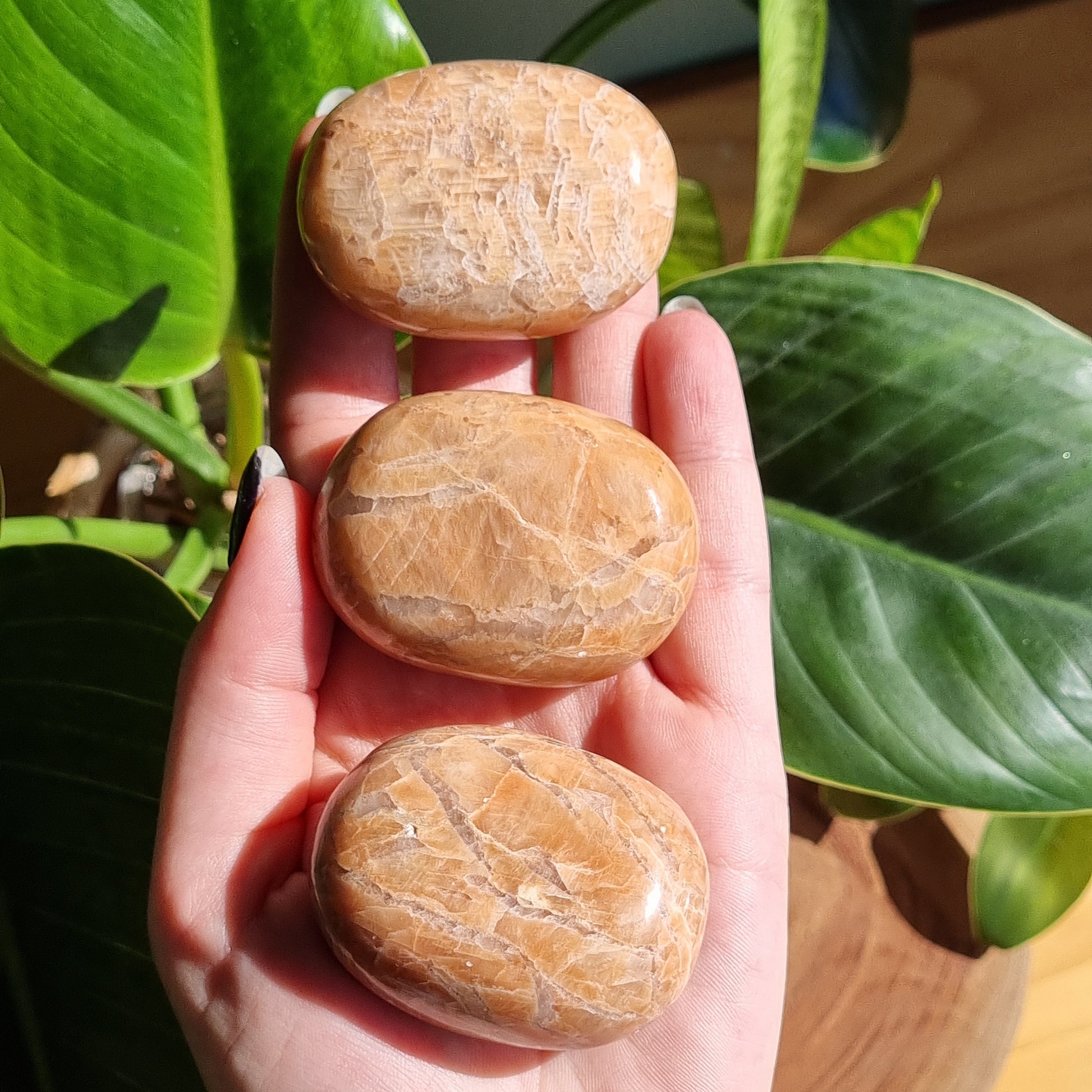 Peach Moonstone Palmstone - Sparrow and Fox