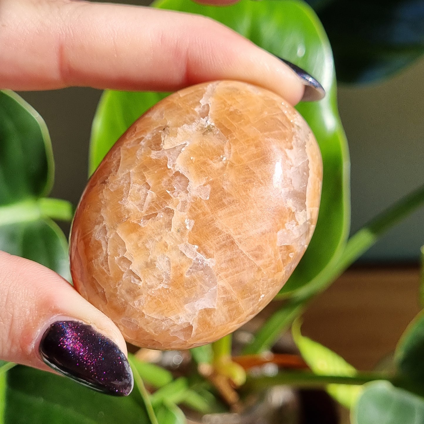 Peach Moonstone Palmstone - Sparrow and Fox