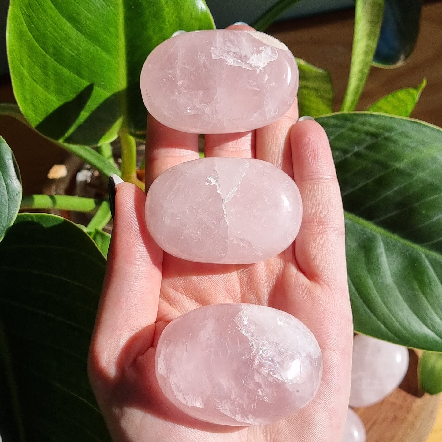 Rose Quartz Palm Stone - Sparrow and Fox