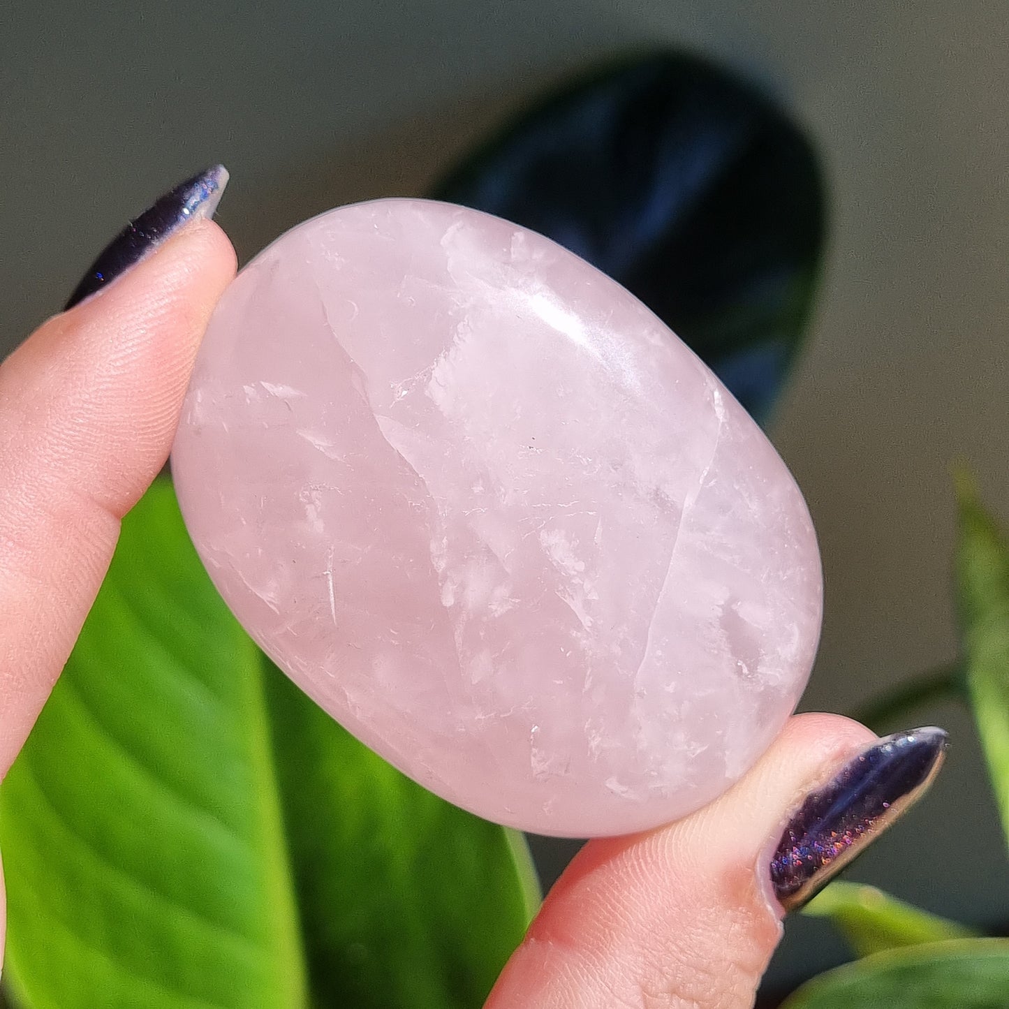 Rose Quartz Palm Stone - Sparrow and Fox