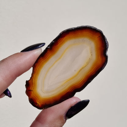 Agate Slice Natural - Brazil