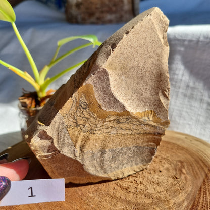 Picture Jasper Standing Raw - Madagascar