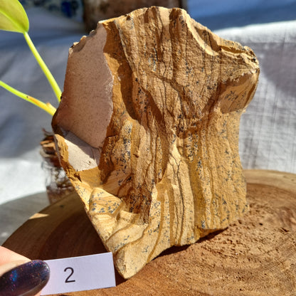 Picture Jasper Standing Raw - Madagascar