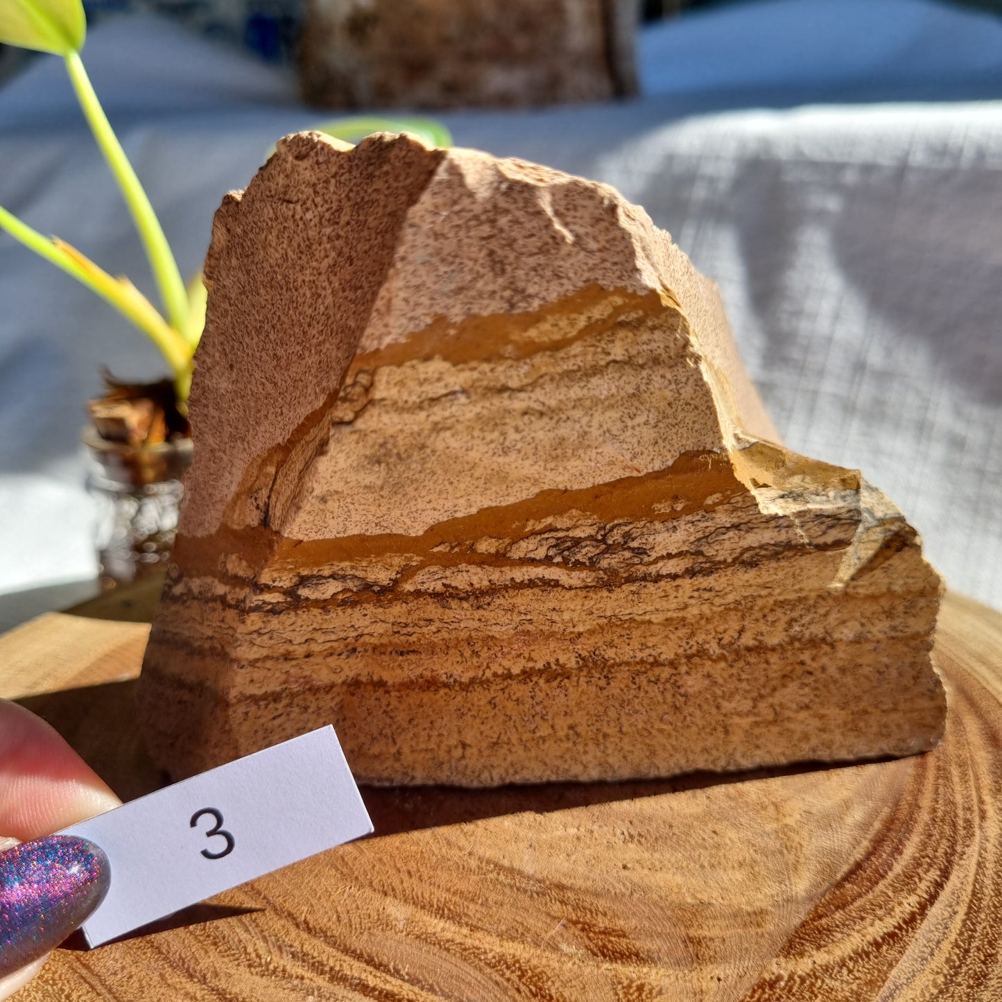 Picture Jasper Standing Raw - Madagascar