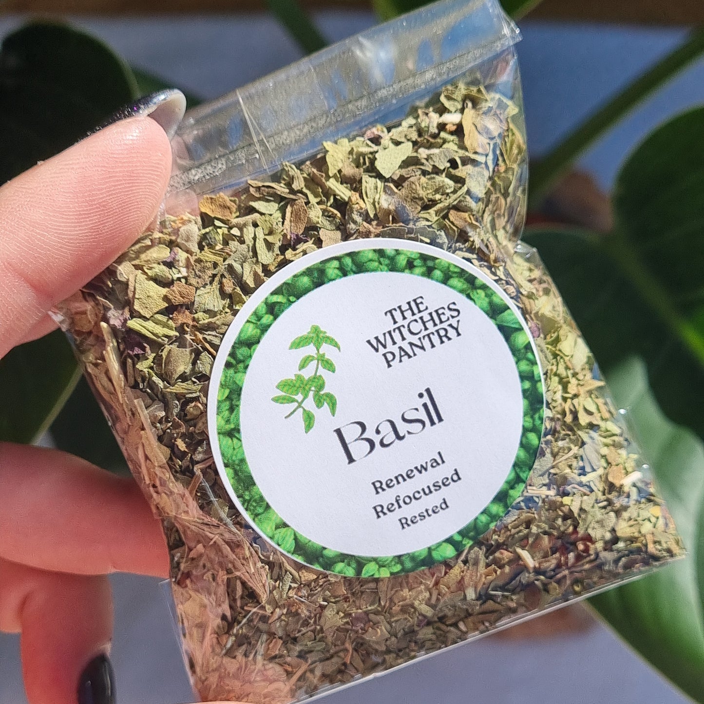 Basil Herb - Certified Organic