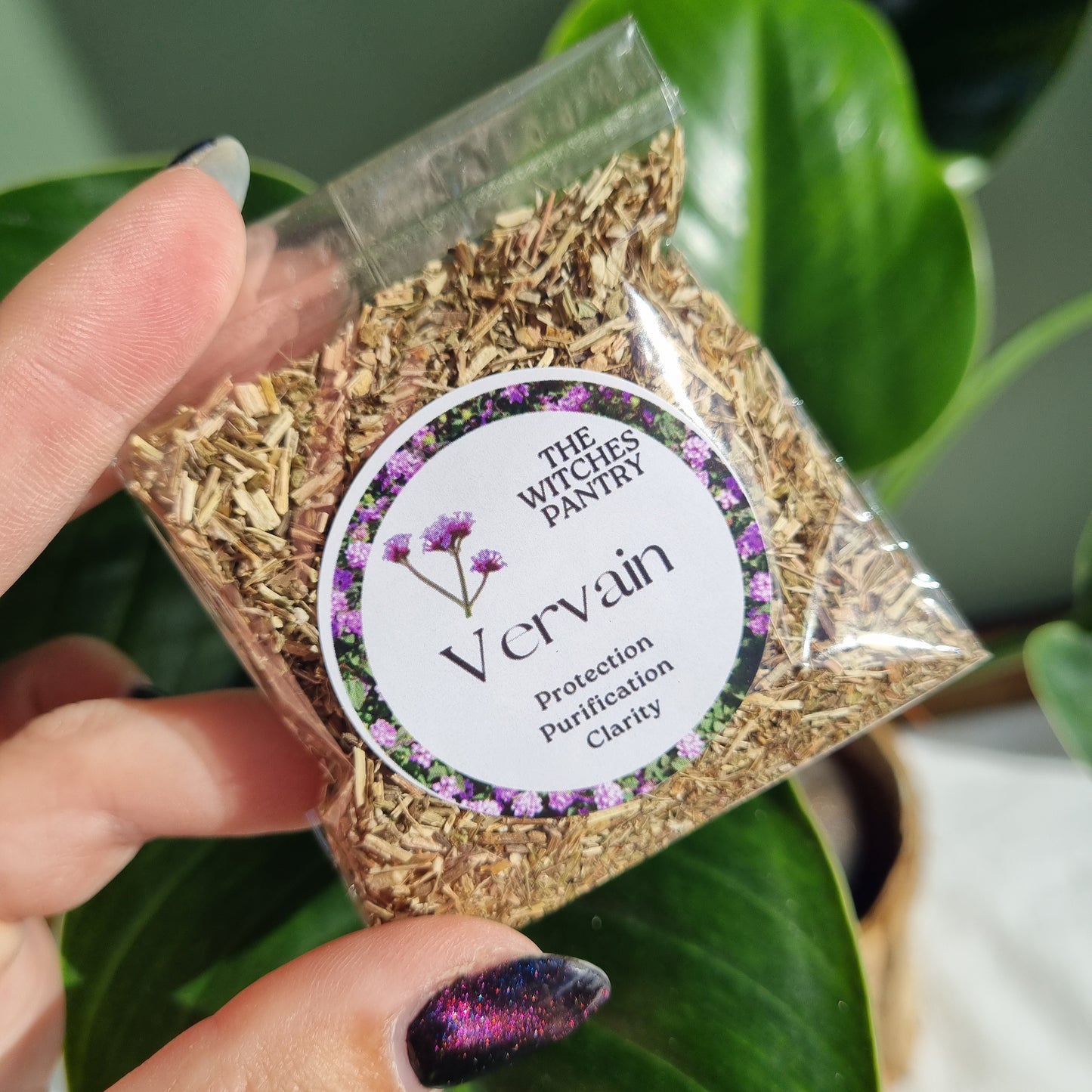 Vervain - Certified Organic