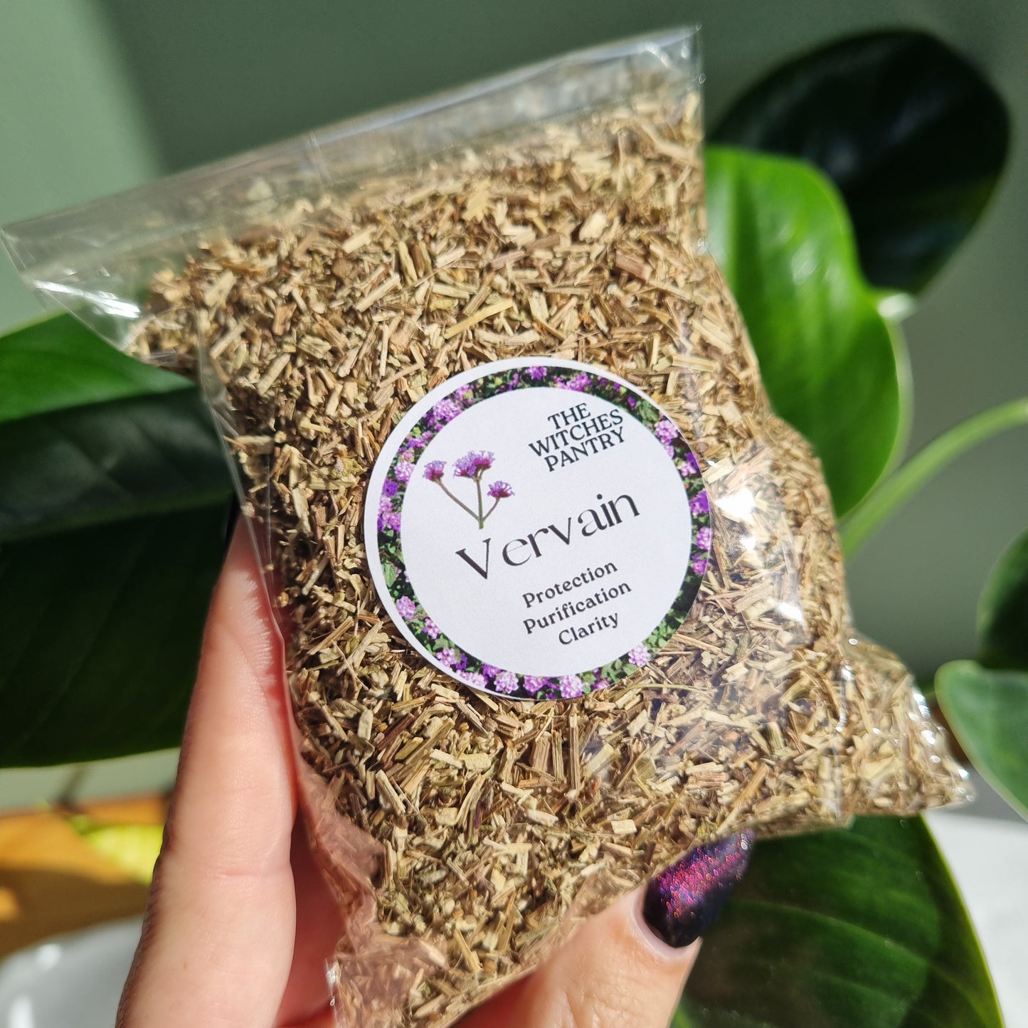 Vervain - Certified Organic