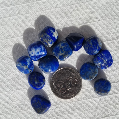 Lapis Lazuli Freeform Beads