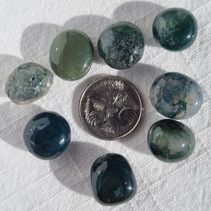 Moss Agate Freeform Beads