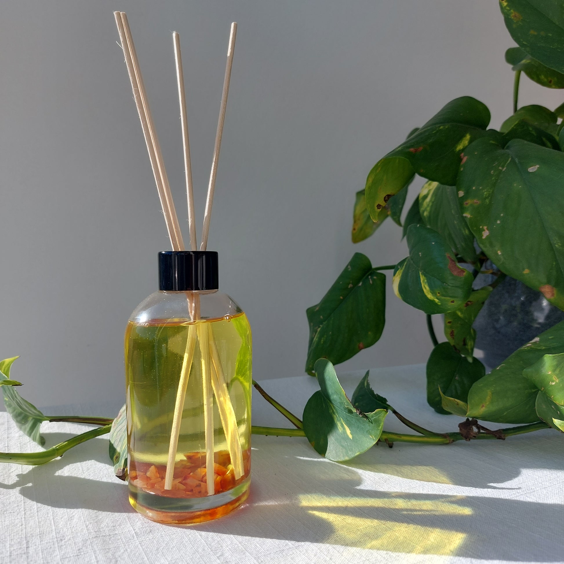 Carnelian Scented Reed Diffuser - Limited Edition May - Sparrow and Fox