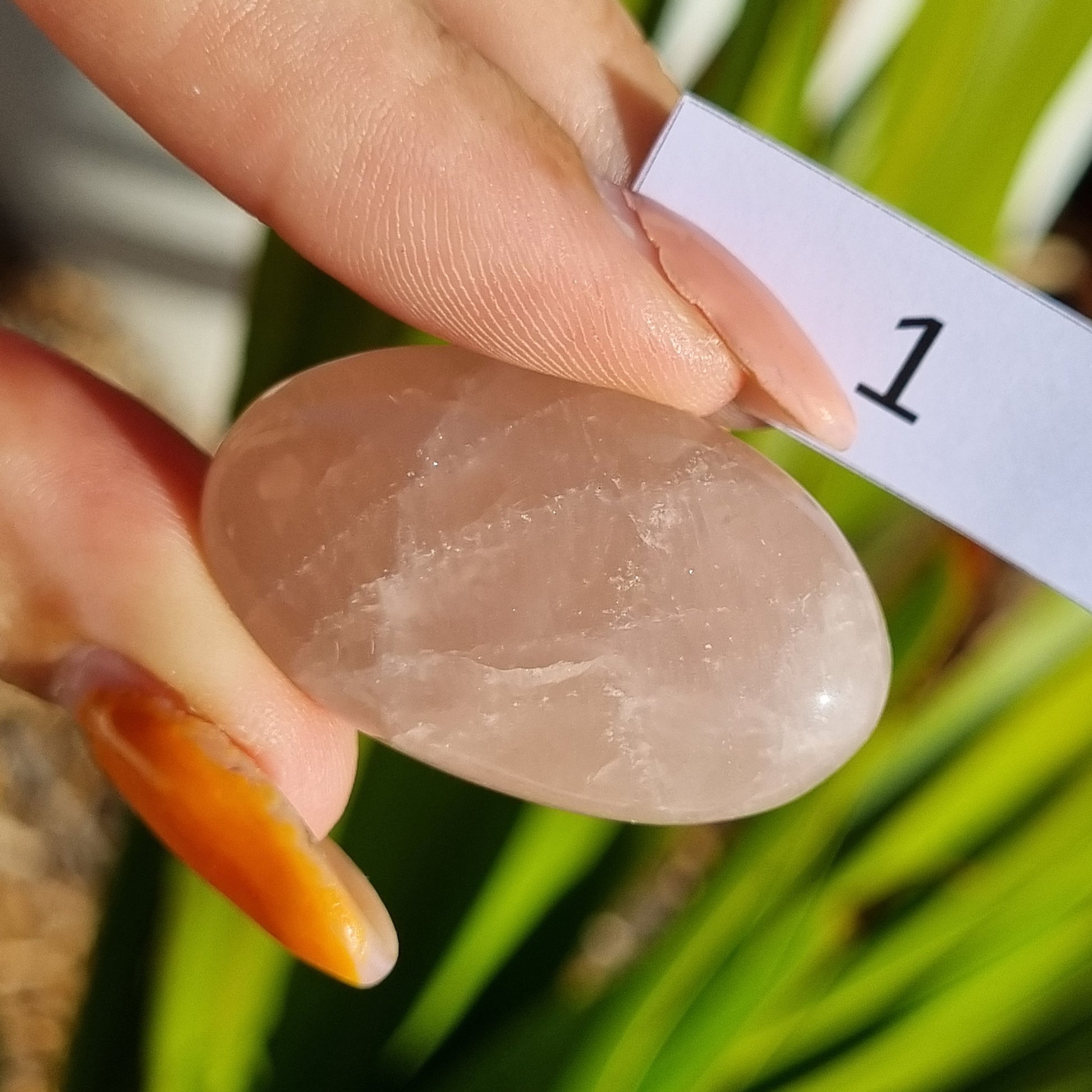 Rose Quartz Cabochon - Sparrow and Fox