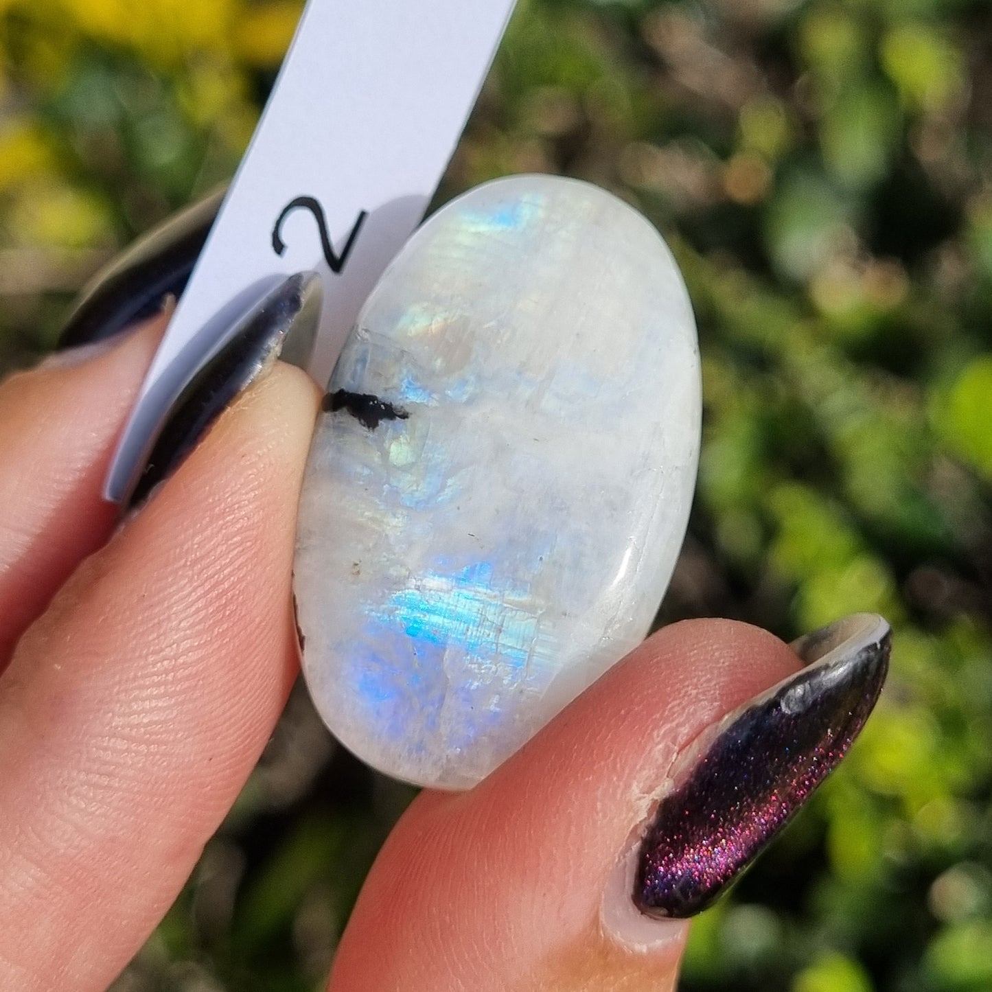 Moonstone Cabochon