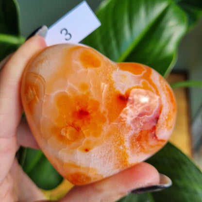 Carnelian Heart - Brazil