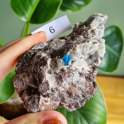 Cavansite on Heulandite Specimen - Congo