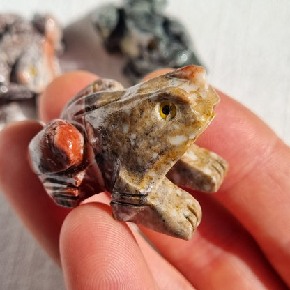 Dolomite Spirit Animal - Frog