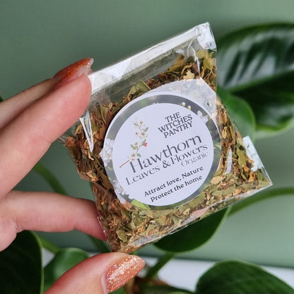 Hawthorn Leaf & Flowers - Certified Organic