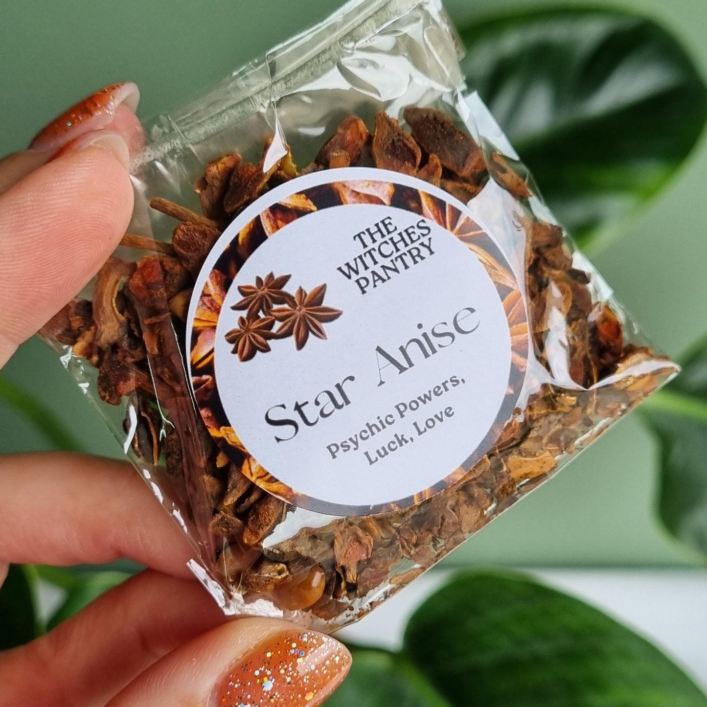 Star Anise Cut